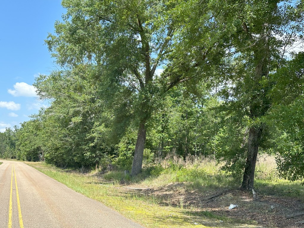 Lot 7 South Springhill Road Gordon, AL 36343 - Photo 3 of 14