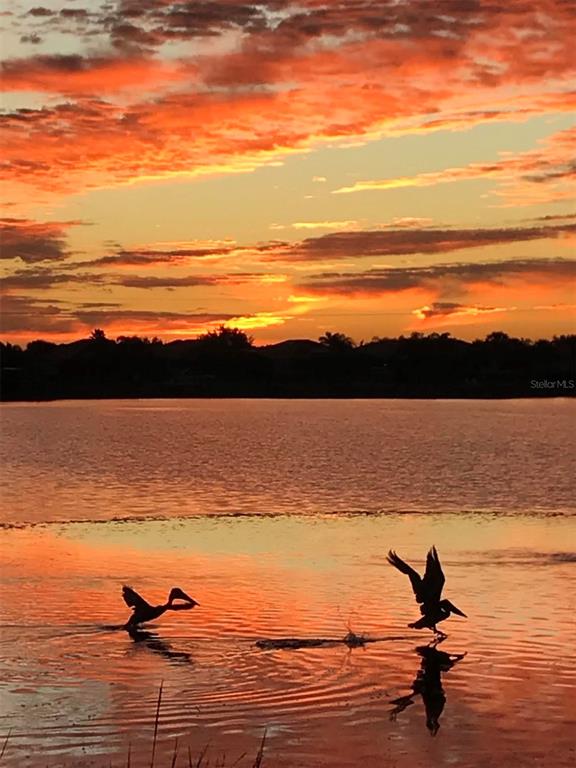 1151 Riverscape Street, Unit 1151 Bradenton, FL 34208 - Photo 3 of 62