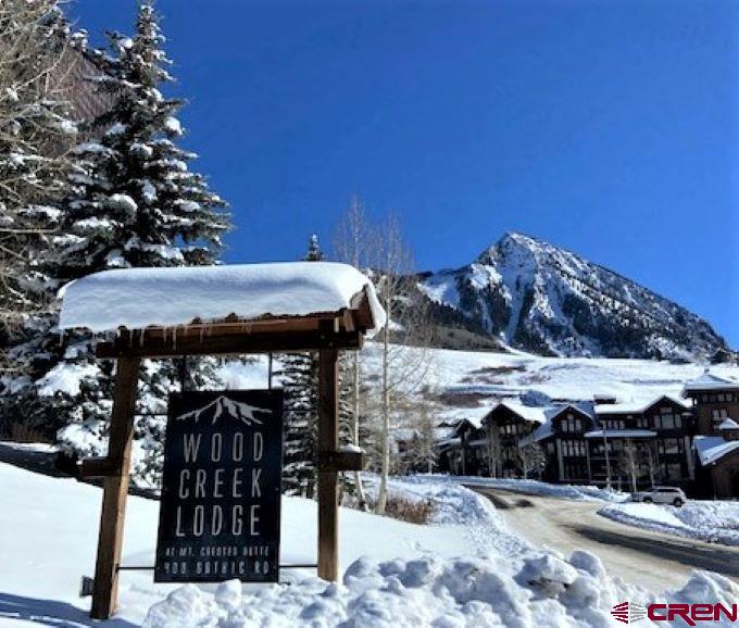 400 Gothic Road, Unit 402 Crested Butte, CO 81225 - Photo 21 of 21