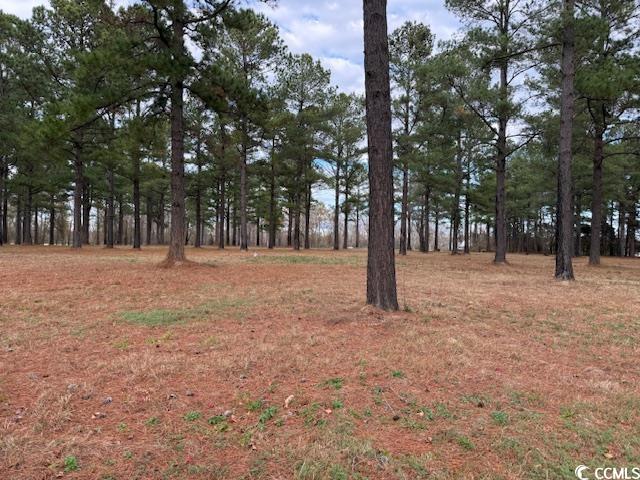 5.87-acs Rabon Road Aynor, SC 29511 - Photo 3 of 5