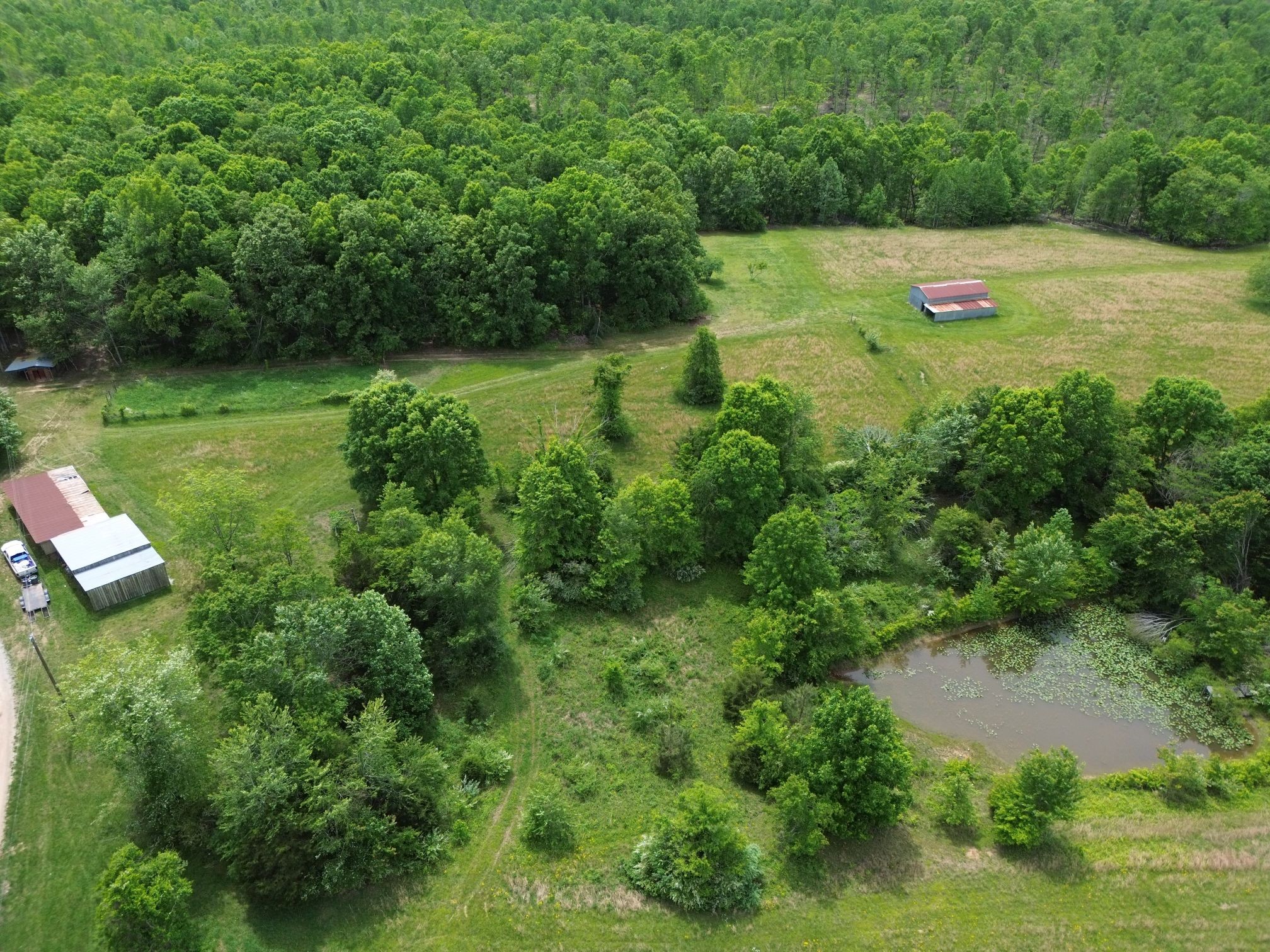 5500 Fortyeight Creek Road Waynesboro, TN 38485 - Photo 11 of 13