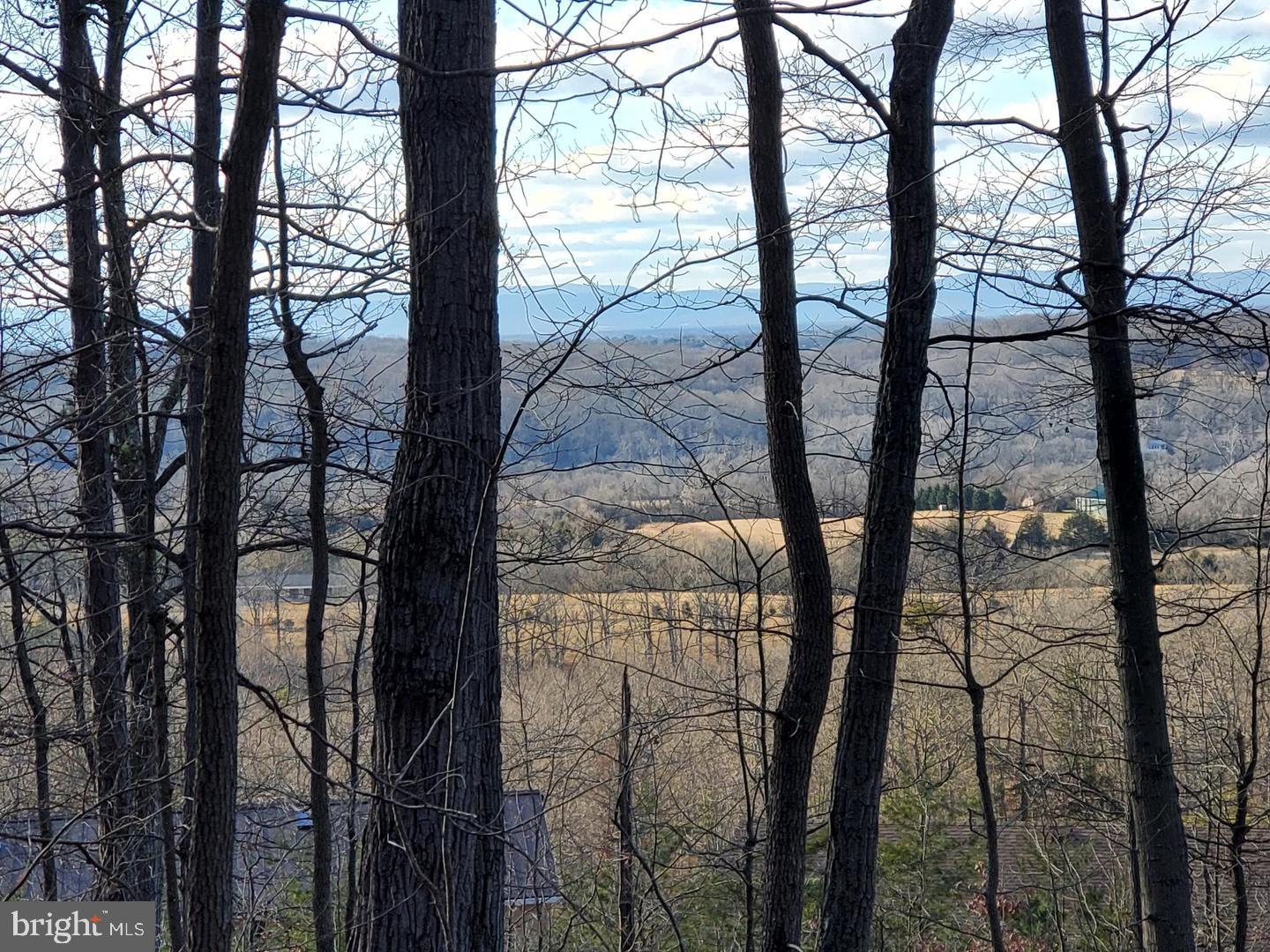 Lot 7 Rock Ridge Road Front Royal, VA 22630 - Photo 1 of 2