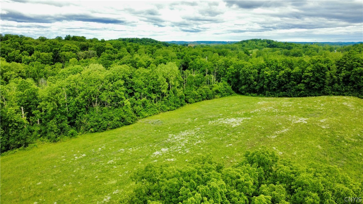7675 Fosterville Road Montezuma, NY 13140 - Photo 41 of 44