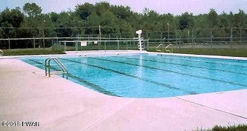 115 Bear Rock Road Lake Ariel, PA 18436 - Photo 21 of 24 Pool