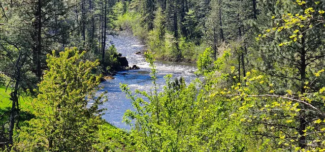 $635,000 | 106 Newsome Street, Stites, ID 83552