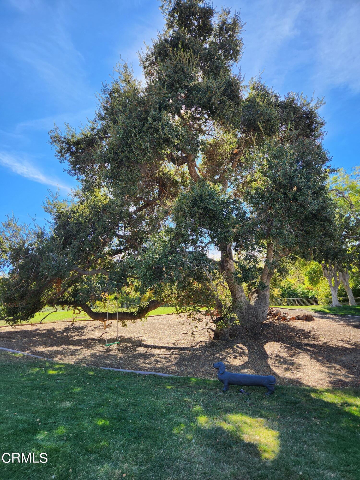 1915 Maya Pradera Lane Moorpark, CA 93021 - Photo 3 of 39 a view of yard with green space