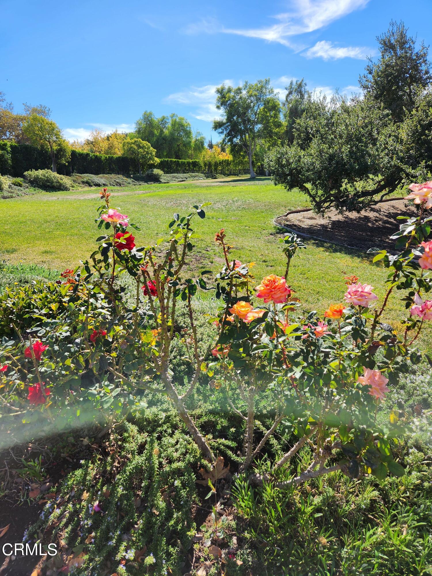 1915 Maya Pradera Lane Moorpark, CA 93021 - Photo 5 of 39 a view of a lake with a house in the background