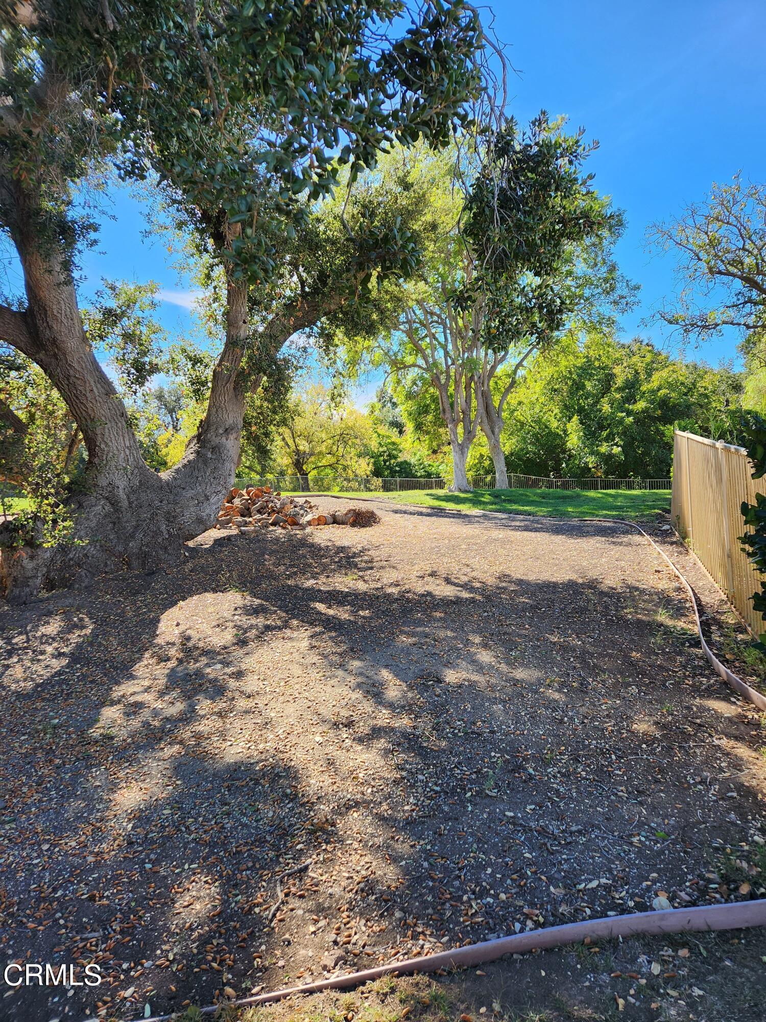 1915 Maya Pradera Lane Moorpark, CA 93021 - Photo 6 of 39 a view of a yard with a tree