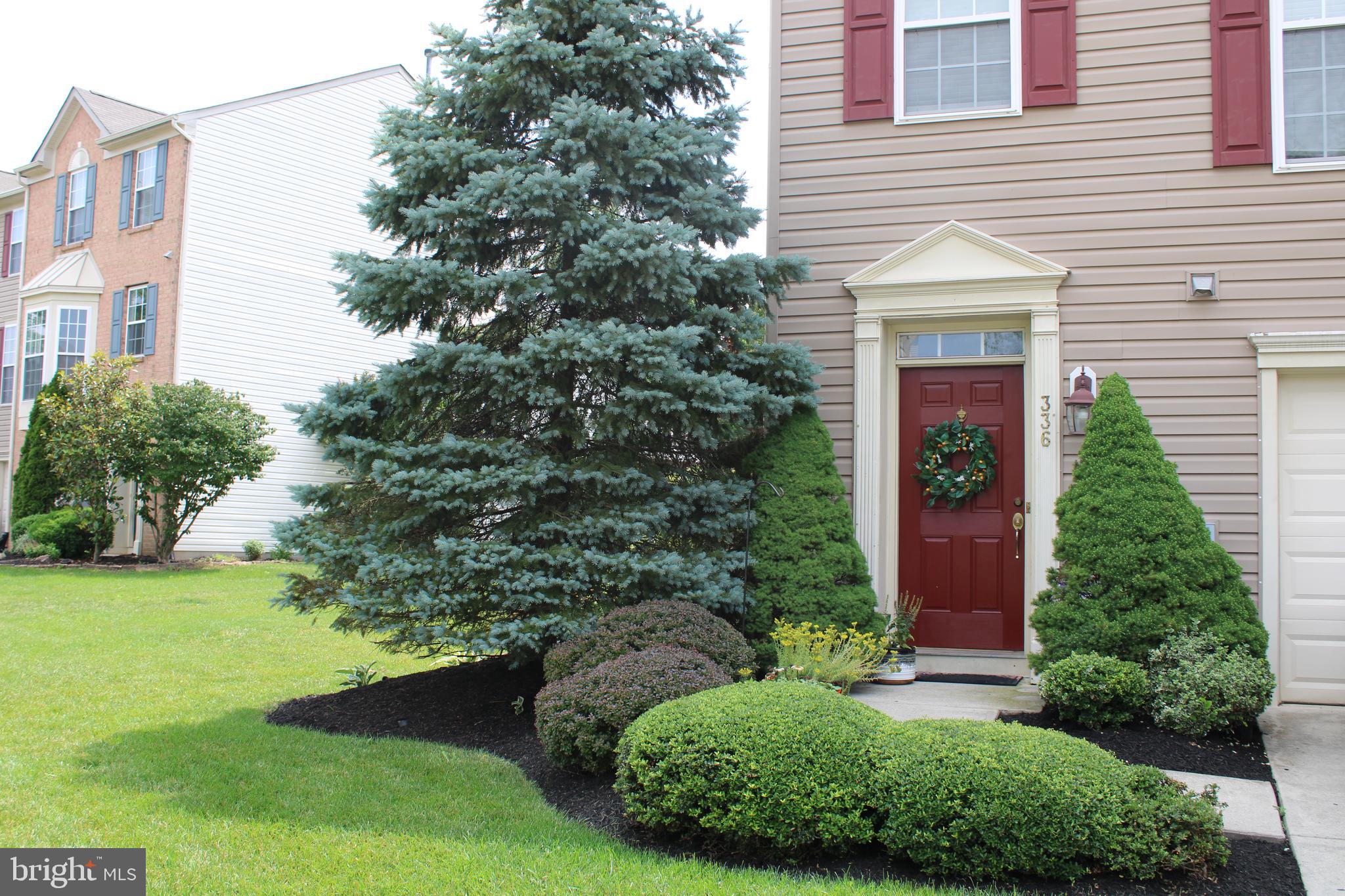 336 Concetta Drive Mount Royal, NJ 08061 - Photo 3 of 38