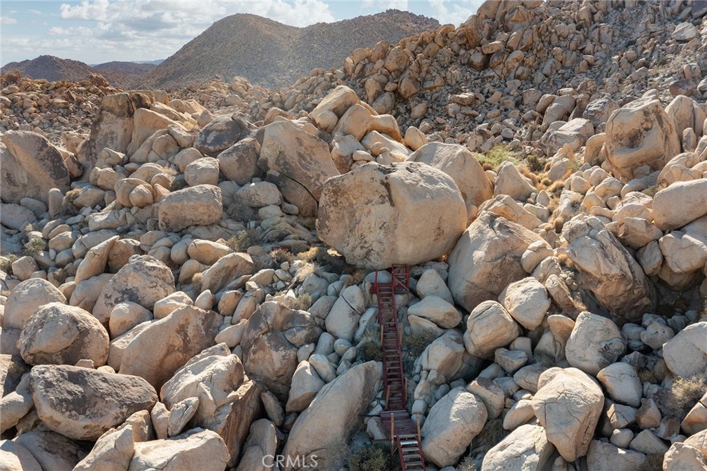 66075 Foothill Drive Joshua Tree, CA 92252 - Photo 50 of 53 a view of a lot of flowers