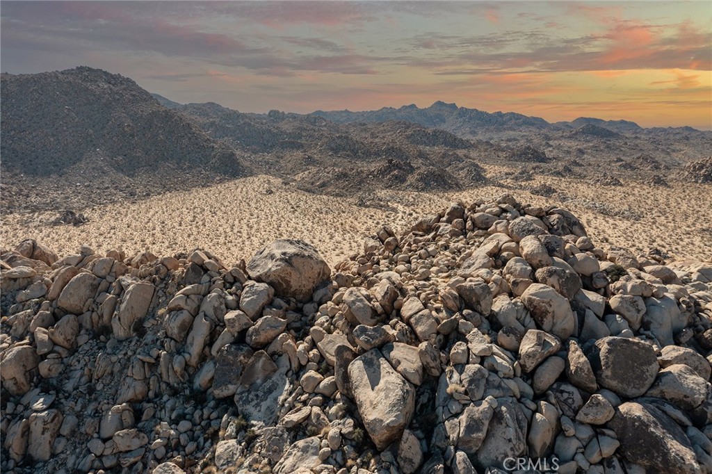 66075 Foothill Drive Joshua Tree, CA 92252 - Photo 5 of 53 a view of a dry yard with mountains in the background