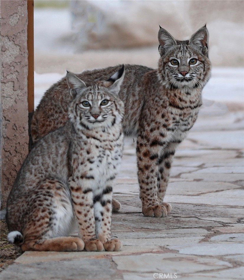 66075 Foothill Drive Joshua Tree, CA 92252 - Photo 52 of 53 a view of a fireplace in a room