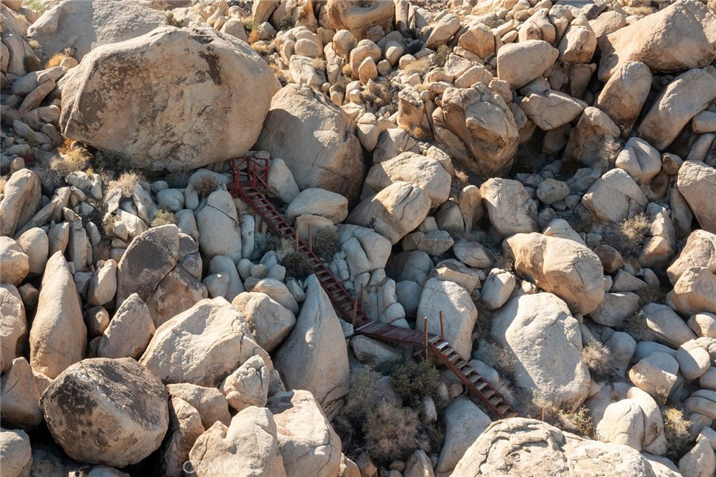 66075 Foothill Drive Joshua Tree, CA 92252 - Photo 6 of 53 a close up of a flower in a garden