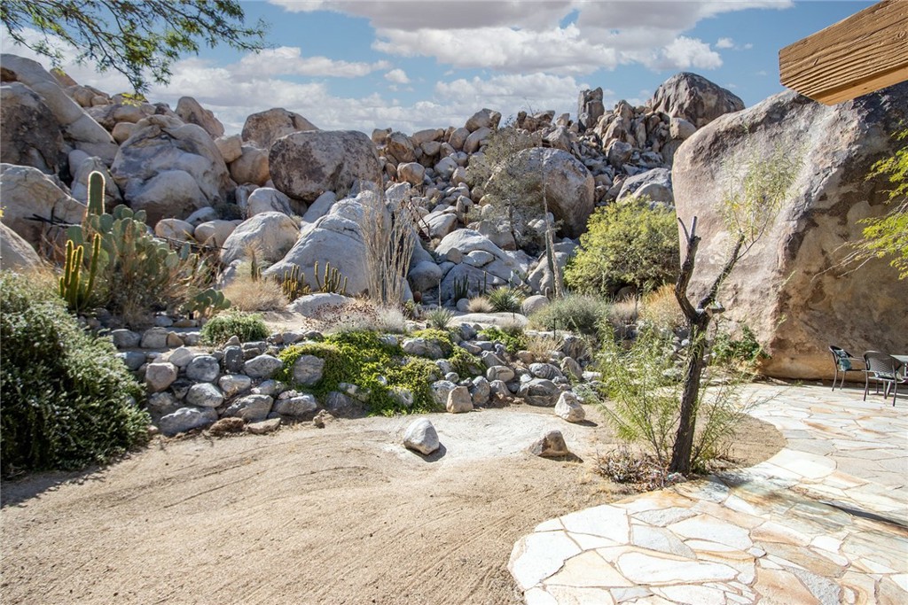 66075 Foothill Drive Joshua Tree, CA 92252 - Photo 7 of 53 a view of a yard with plants