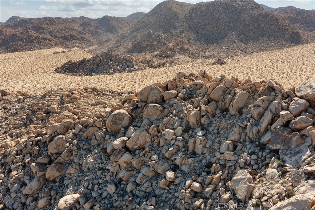 66075 Foothill Drive Joshua Tree, CA 92252 - Photo 8 of 53 a view of a dry yard covered with snow