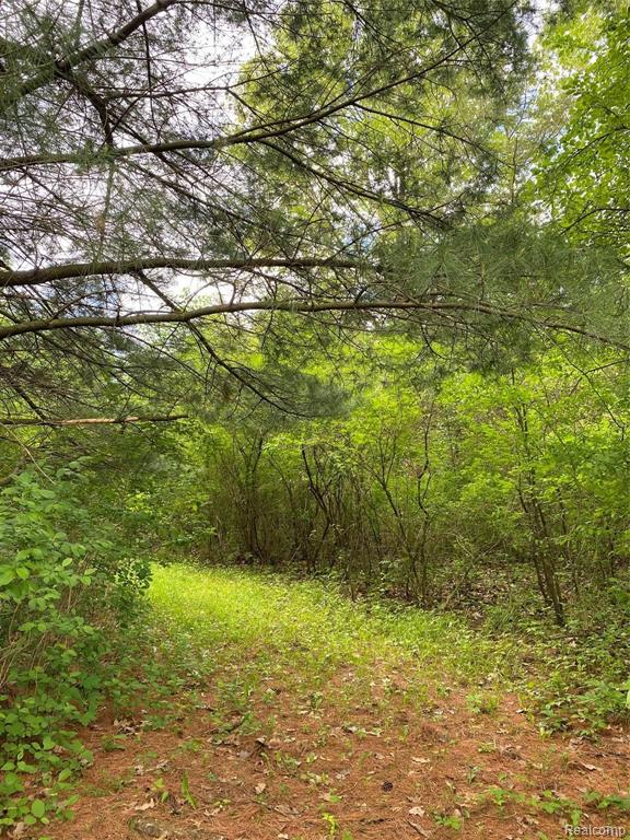 0 Kaiser Road Gregory, MI 48137 - Photo 21 of 29