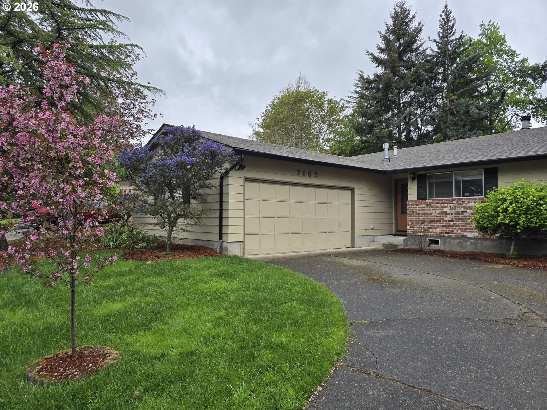 7165 Southwest Sorrento Road Beaverton, OR 97008 - Photo 3 of 48 Front Yard