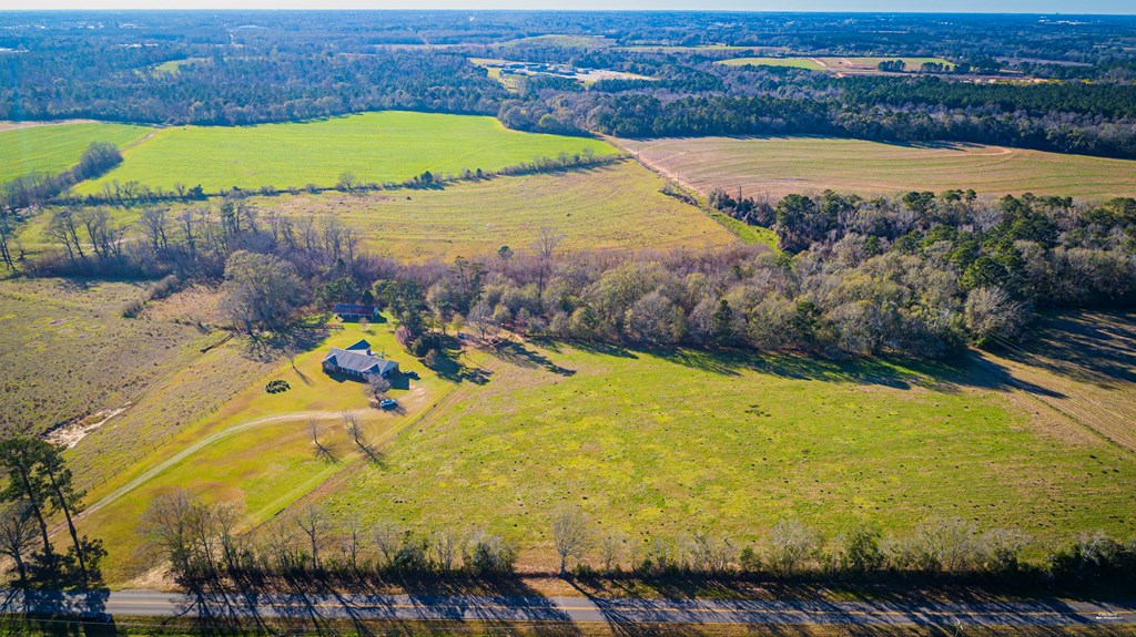 2833 Omussee Road Dothan, AL 36303 - Photo 40 of 51 Drone View