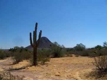 11380 West Massingale Road Tucson, AZ 85743 - Photo 1 of 4