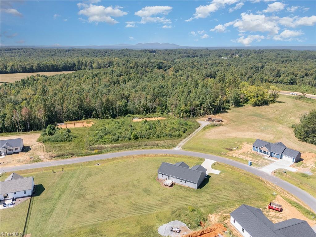 115 Knight Farm Road Stokesdale, NC 27357 - Photo 29 of 47