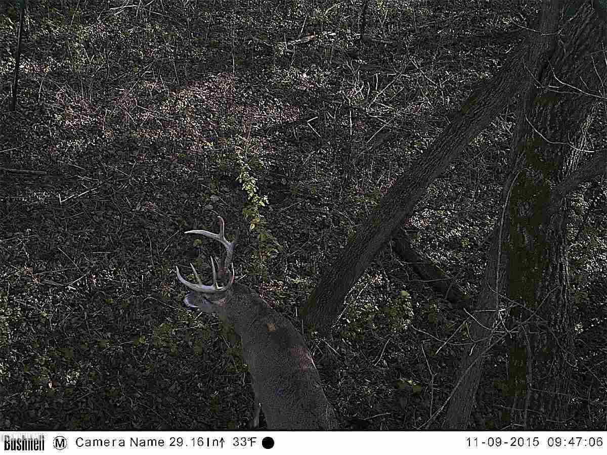 6552 East Union Road Stockton, IL 61085 - Photo 14 of 22
