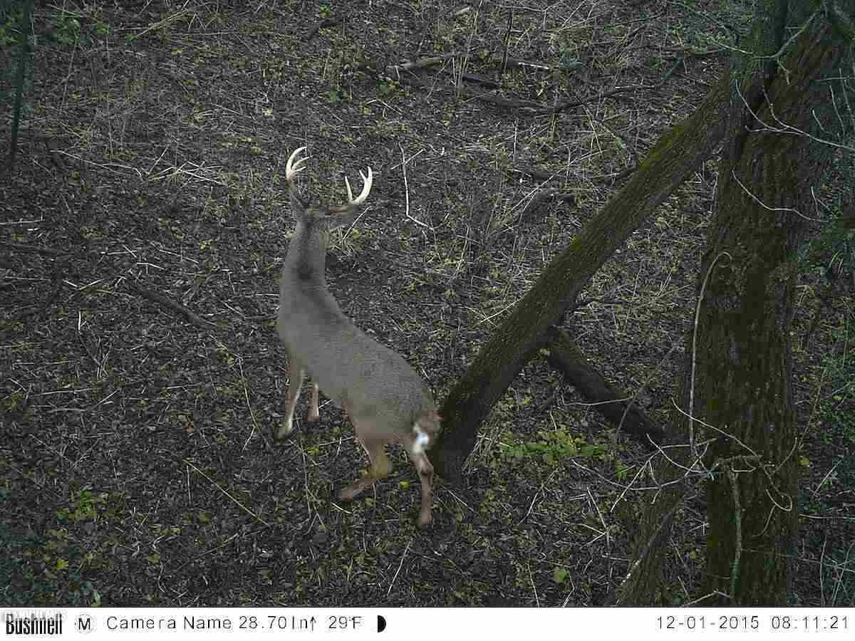 6552 East Union Road Stockton, IL 61085 - Photo 19 of 22 a bird view of location