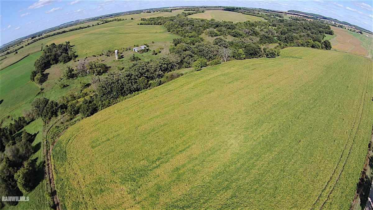 6552 East Union Road Stockton, IL 61085 - Photo 2 of 22 a view of a yard