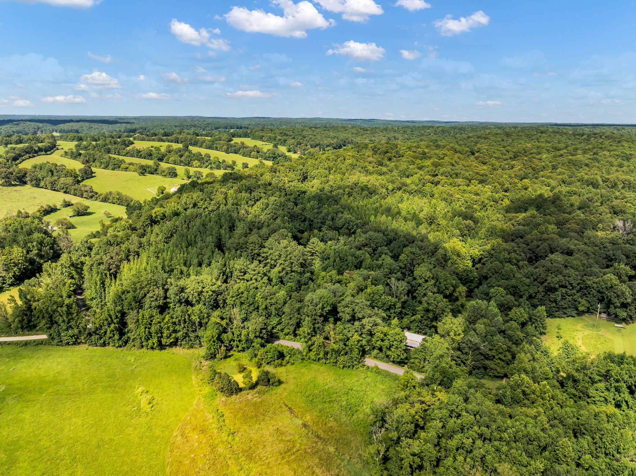 5114 Tennessee Ridge Road Waverly, TN 37185 - Photo 15 of 59 Gallery Image 15