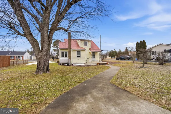 a view of a large trees in front of a house