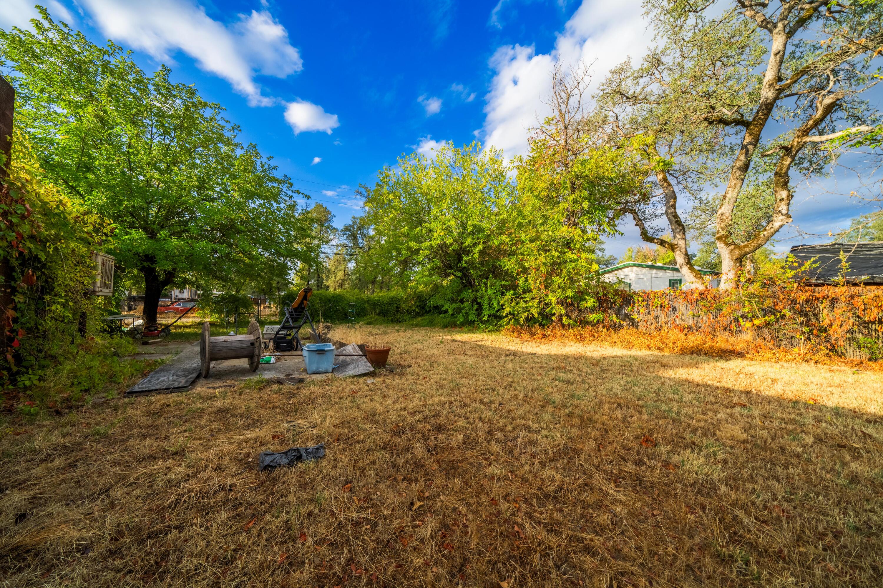 18534 Candy Lane Redding, CA 96003 - Photo 14 of 20 a view of a tree in the middle of a yard