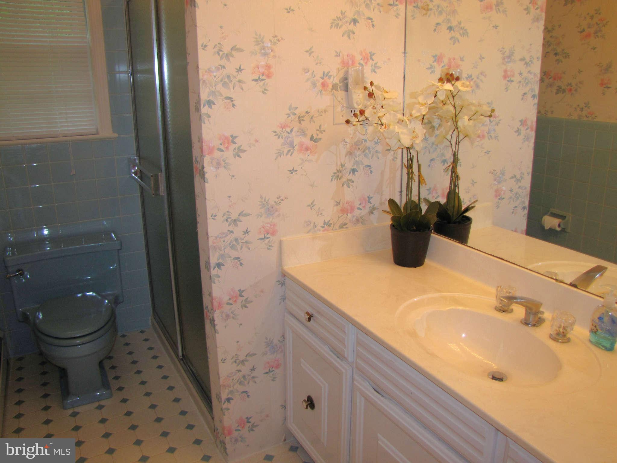 14701 Harold Road Silver Spring, MD 20905 - Photo 17 of 30 Bath (Master)