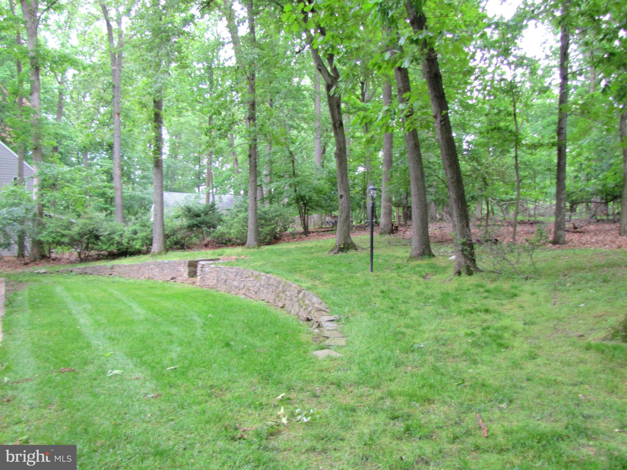 14701 Harold Road Silver Spring, MD 20905 - Photo 28 of 30 Back Yard
