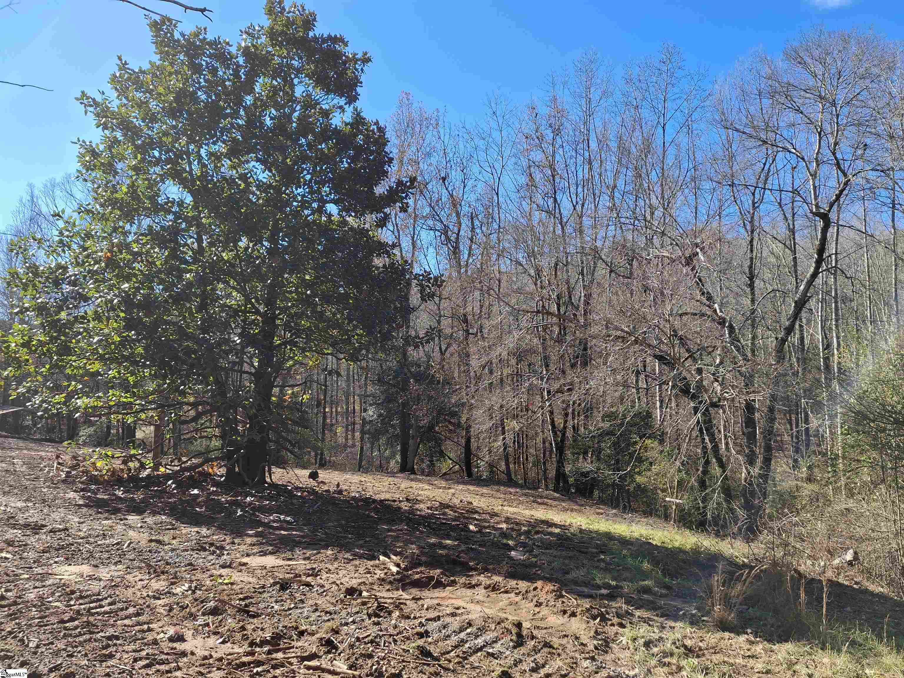 287 Wolf Creek Road Easley, SC 29640 - Photo 1 of 9