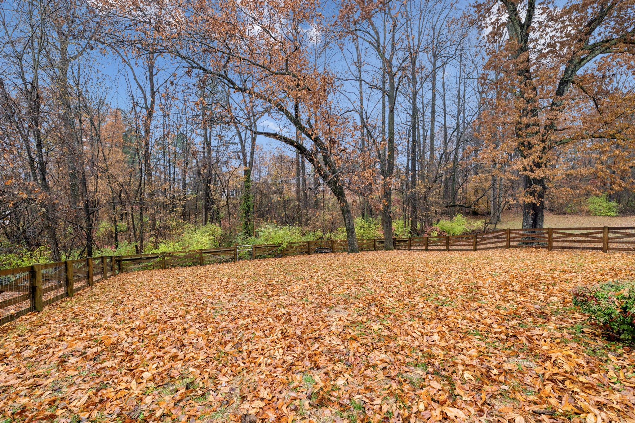 350 State Street Cookeville, TN 38501 - Photo 43 of 44 a street view with large trees