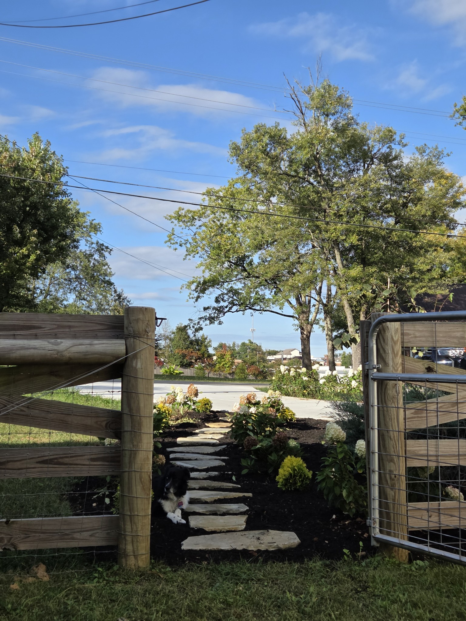 350 State Street Cookeville, TN 38501 - Photo 10 of 44