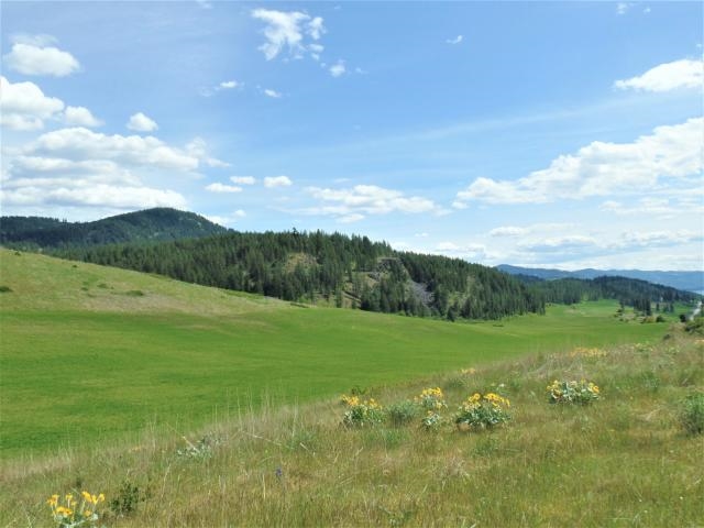 Tbd South Tbd S 25th Highway Rice, WA 99167 - Photo 4 of 20