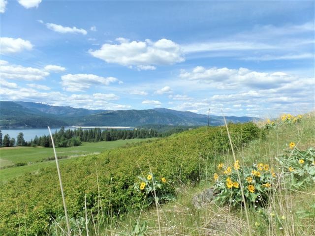 Tbd South Tbd S 25th Highway Rice, WA 99167 - Photo 5 of 20