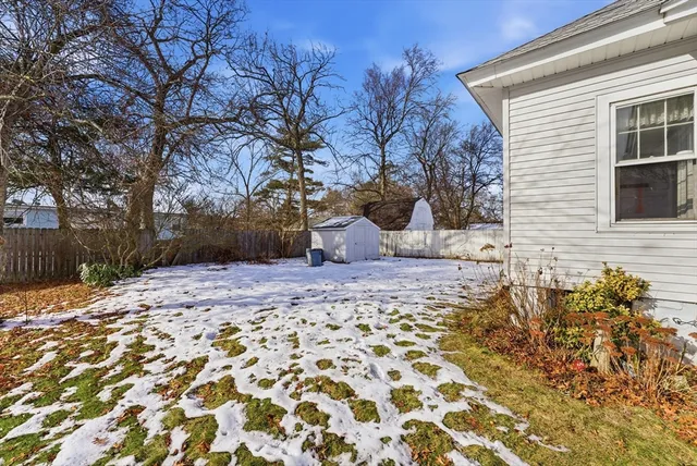 a view of a backyard with a tree