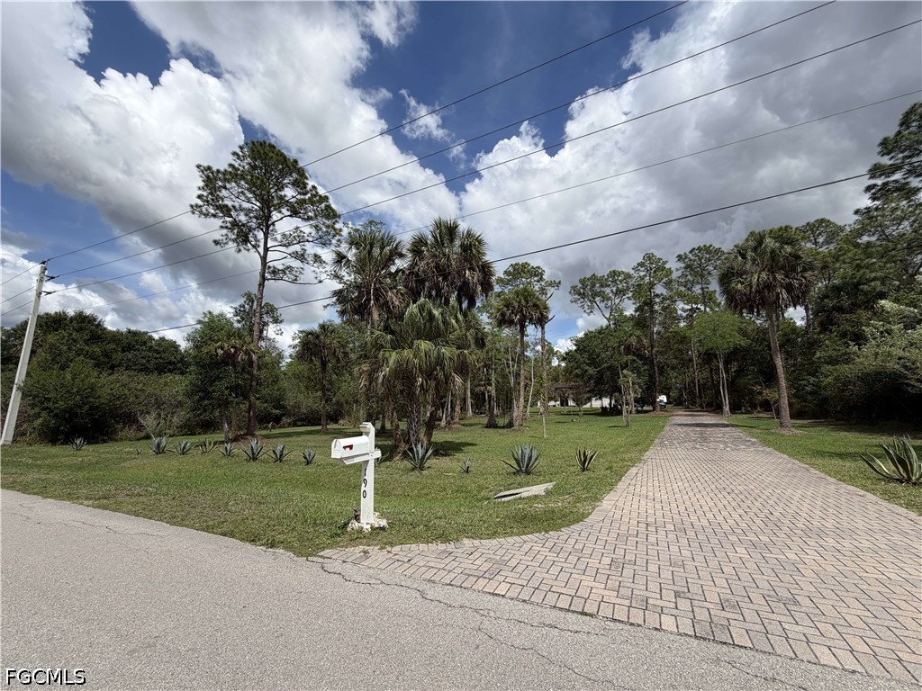 190 2nd Street Southeast Naples, FL 34117 - Photo 47 of 47 a park view with tree s