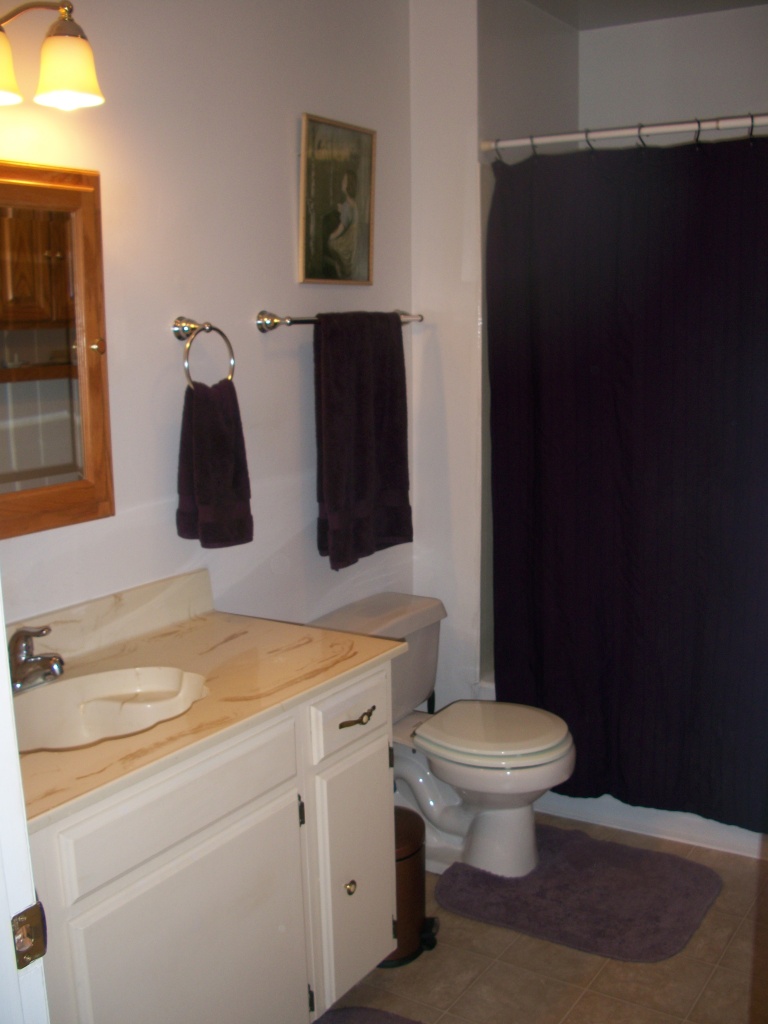 21932 Lone Tree Road Anderson, CA 96007 - Photo 11 of 26 a bathroom with a sink toilet and mirror