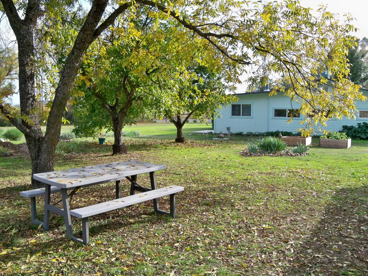 21932 Lone Tree Road Anderson, CA 96007 - Photo 12 of 26 a view of a bench in a backyard