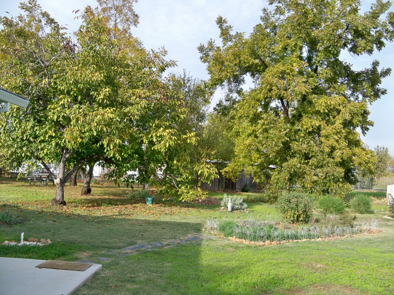 21932 Lone Tree Road Anderson, CA 96007 - Photo 14 of 26 a view of outdoor space with garden and trees