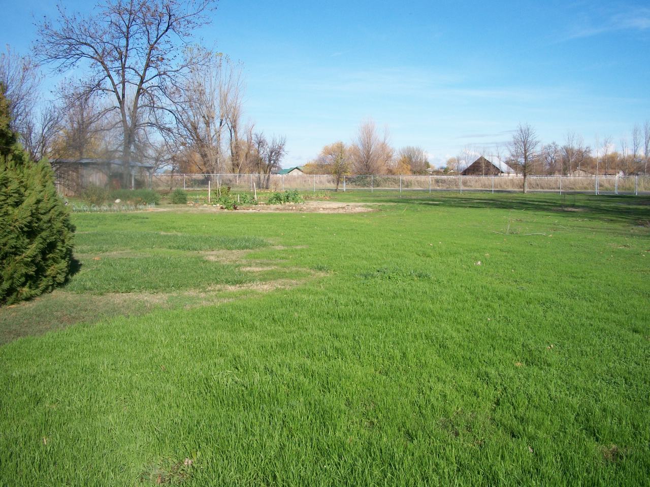 21932 Lone Tree Road Anderson, CA 96007 - Photo 15 of 26 a view of field with trees in the background