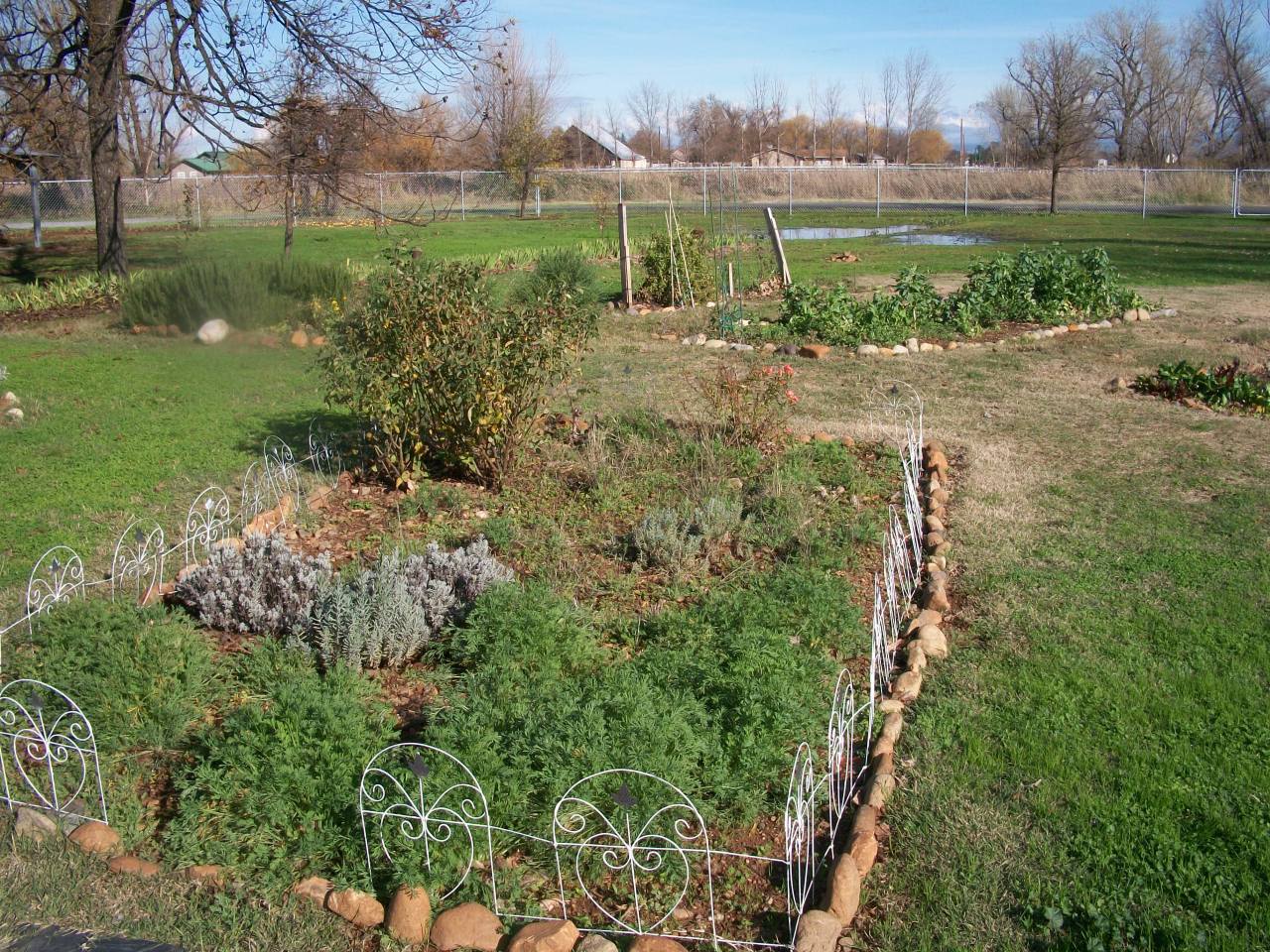 21932 Lone Tree Road Anderson, CA 96007 - Photo 16 of 26 a view of a yard with a tree