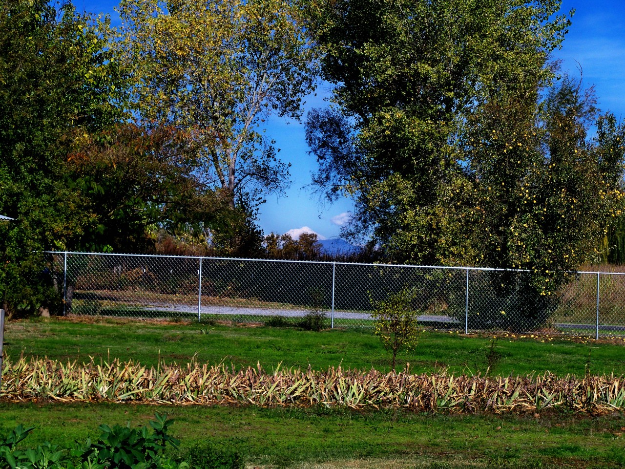 21932 Lone Tree Road Anderson, CA 96007 - Photo 26 of 26 a view of a park