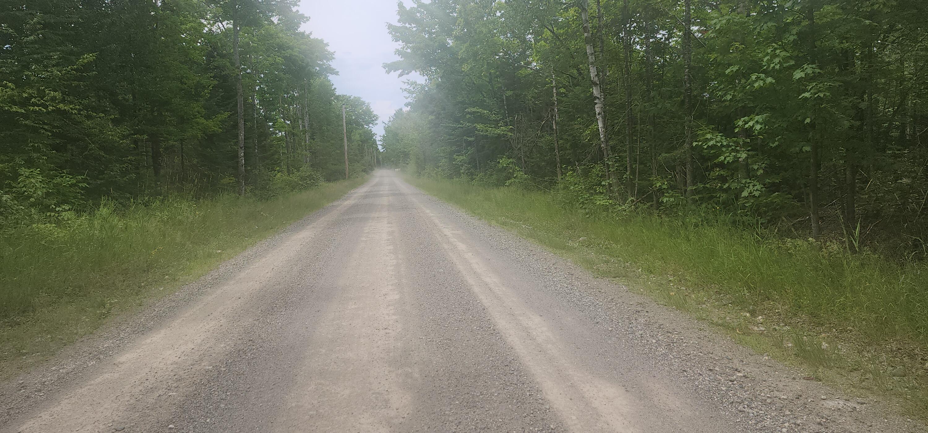 Lot F Cow Team Road Crystal, ME 04747 - Photo 7 of 10 20240709_133258