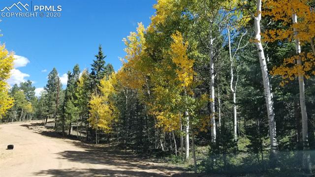 97 Wahsatch Road Florissant, CO 80816 - Photo 27 of 32 Gallery Image 27