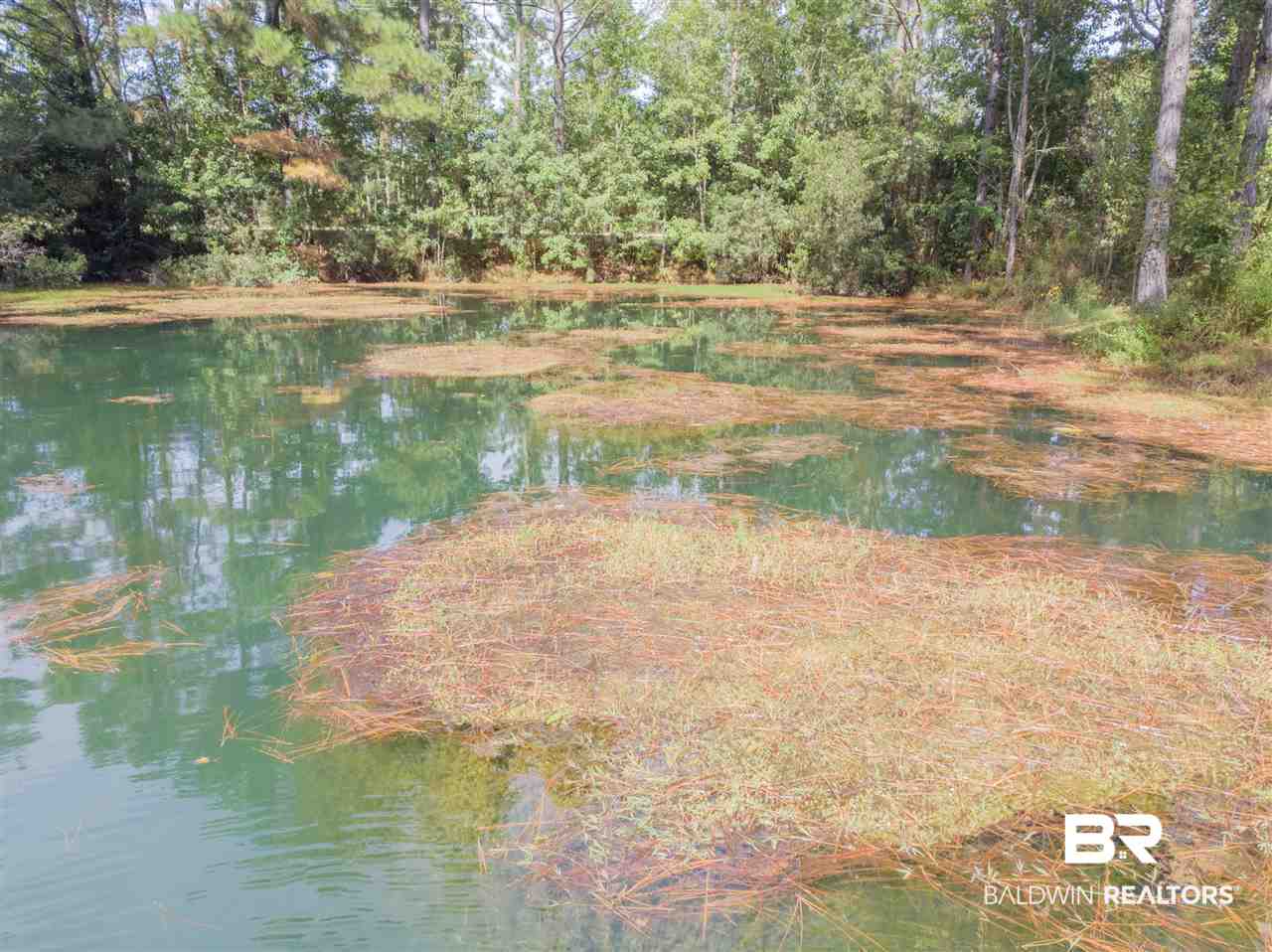 18424 County Road 16 Foley, AL 36535 - Photo 17 of 21