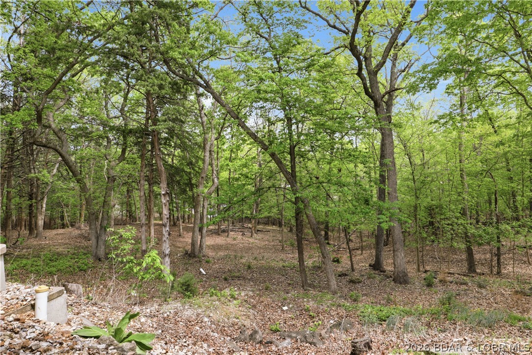 718 West Kays Point Road Lake Ozark, MO 65049 - Photo 32 of 44 Wooded area behind home