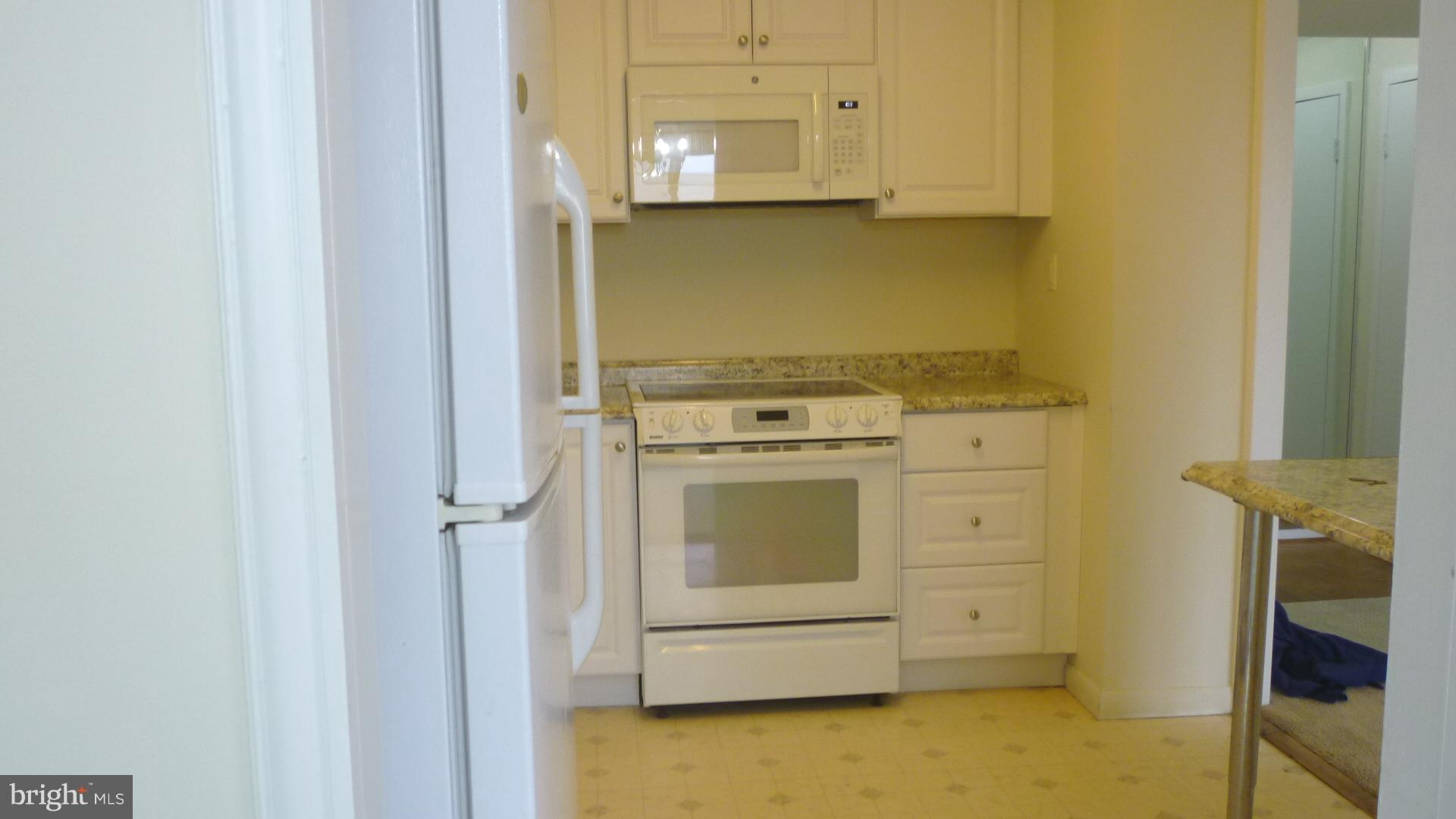 1111 University Boulevard West, Unit 1406A Silver Spring, MD 20902 - Photo 21 of 41 Updated with new Cabinets & Microwave